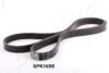 ASHIKA 112-6PK1695 V-Ribbed Belts